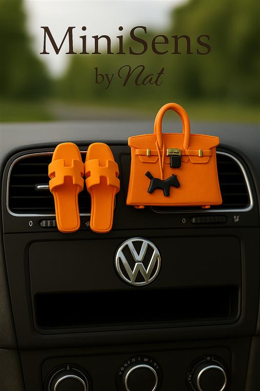 Pack Bijoux Voiture Orange